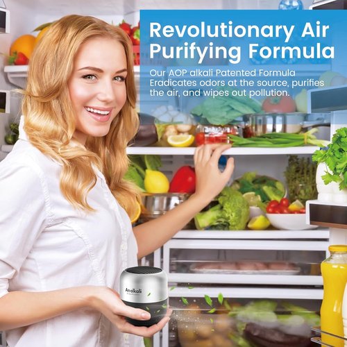 Fridge Deodorizer | 2-Pack Odor Eliminator Kit - Lasts 10 Years, Chemical-Free, Black