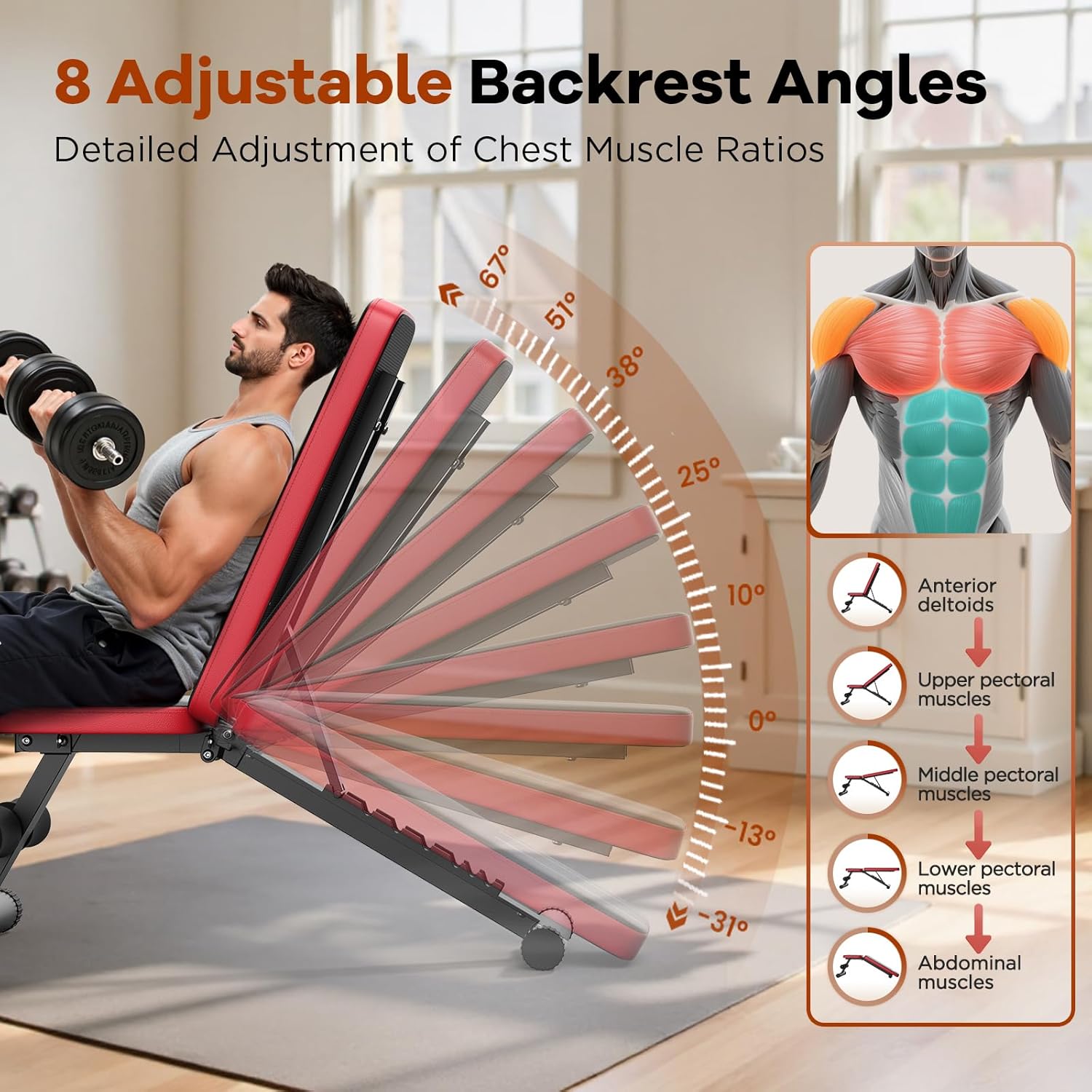 NICEPEOPLE Adjustable Weight Bench - 660LBS Capacity Home Gym Workout Bench | Compact & Foldable Design