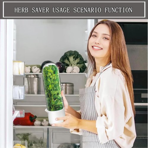 Rkssws Herb Saver for Refrigerator, Cilantro Container for Fridge, Fresh Herbs Lettuce Keeper for Refrigerator Parsley Mint Leaves Fresh Herb Keeper, Refrigerato Storage for Fresh for 2-3 Weeks