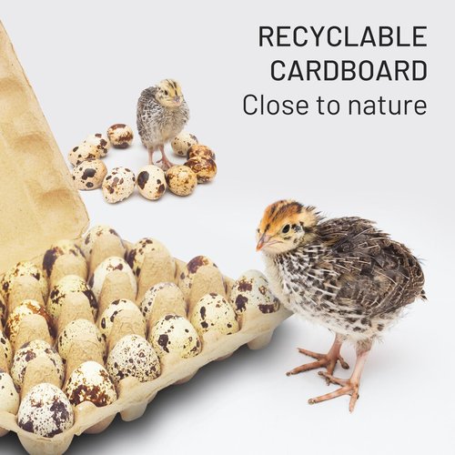 HavRixor Quail Egg Cartons 30 Pack- Holds Up to Two Dozen 24 Counts Eggs Bulk Blank Container Empty Cardboard Thickness Natural Pulp Egg Boxes, with Stickers