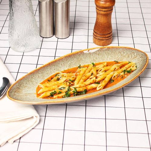 jinsongdafa Ceramic Dinner Plates Set of 4, for Bread, Pasta, Salad, sushi - Microwave, Oven and Dishwasher Safe, Scratch Resistant durable Brown Brown reactive glaze