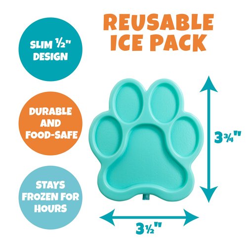 Bentology Insulated Lunchbox Kit w Reusable Stainless Steel Water Bottle & Freezer Hard Ice Pack- Kids Mini Cooler Thermal Tote, Easy to Clean Water-Resistant Bag- Back to School Work Picnic Essential