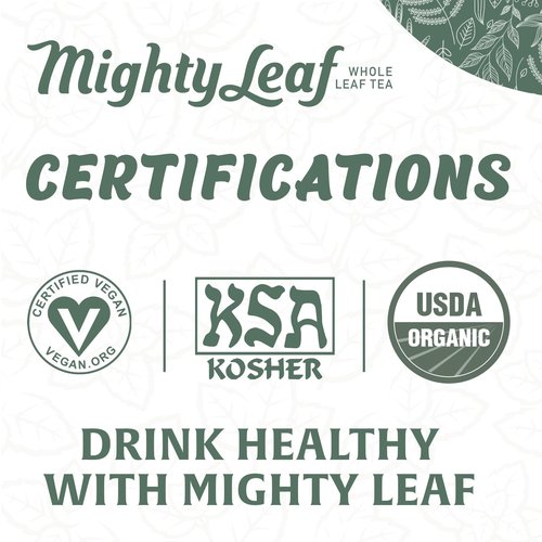 Mighty Leaf Organic Green Dragon Tea – 45 Count (15 Pouches per Box, Pack of 3) – Premium Whole Leaf Green Tea with Smooth, Fresh Flavor – Antioxidant-Rich Hot or Iced Brewing