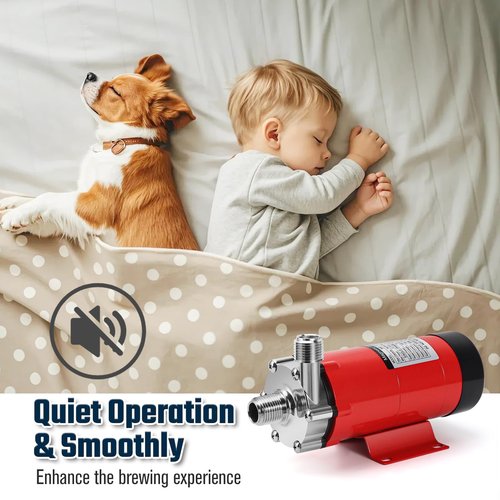 Wort Beer Pump for Brewing, 304 Food Grade Homebrew pump Stainless Steel Head Brew Pump with Inline Switch & 1/2" NPT Thread