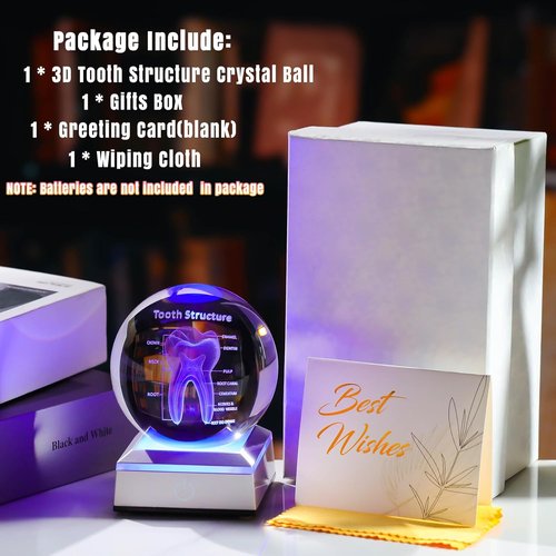 3D Human Tooth Crystal Ball - Etched Anatomical Model Keepsake for Dentists | 3.15 in. with LED Light Base