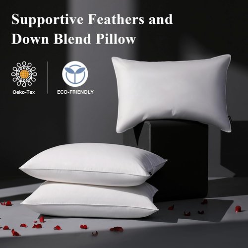 DOWNSTORIA Goose Feather Down Pillows - Queen Size Hotel Collection | Soft Medium Firm Set of 2 (20 x 30 in)