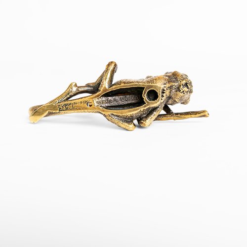 Chameleon Handmade Solid Brass Hook – Sturdy & Detailed Lizard Wall Hook for Coats, Bags, Towels – Unique Rustic Home Decor