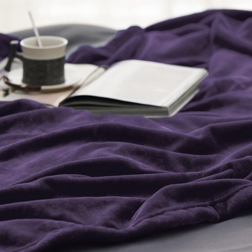 Bedsure GentleSoft Fleece Bed Blanket - Oversized Luxury Microfiber in Purple, 120x120 Inches for Cozy Home Decor