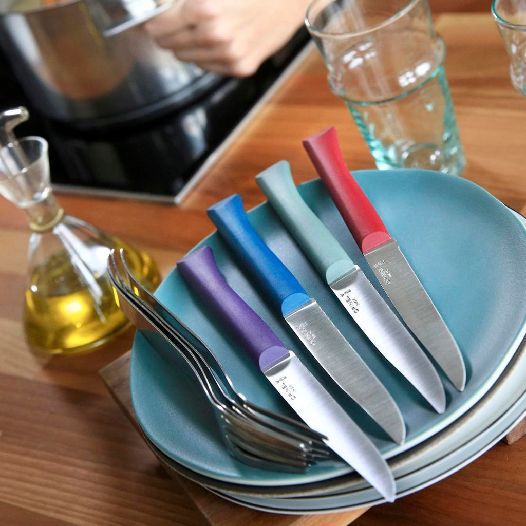 OPINEL Bon Appetit + Table Knives, 4 Piece Set Steak Knives, High Carbon Steel Dinner Knives for Parties, Entertaining, or Everyday Use, Polymer Handles, Dishwasher Safe, Made in France (Glam)