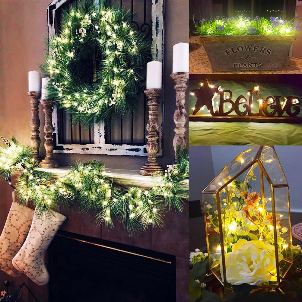 Skiennix 24 Pack Fairy Lights - Battery Operated 7FT Waterproof Silver Wire String Lights for Indoor/Outdoor Decor