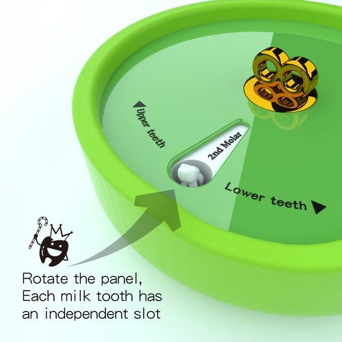 DDMBOX Modern Keepsake Box, Shell-Shaped Design, Waterproof, Sturdy, Flip Top, Green, For Storage