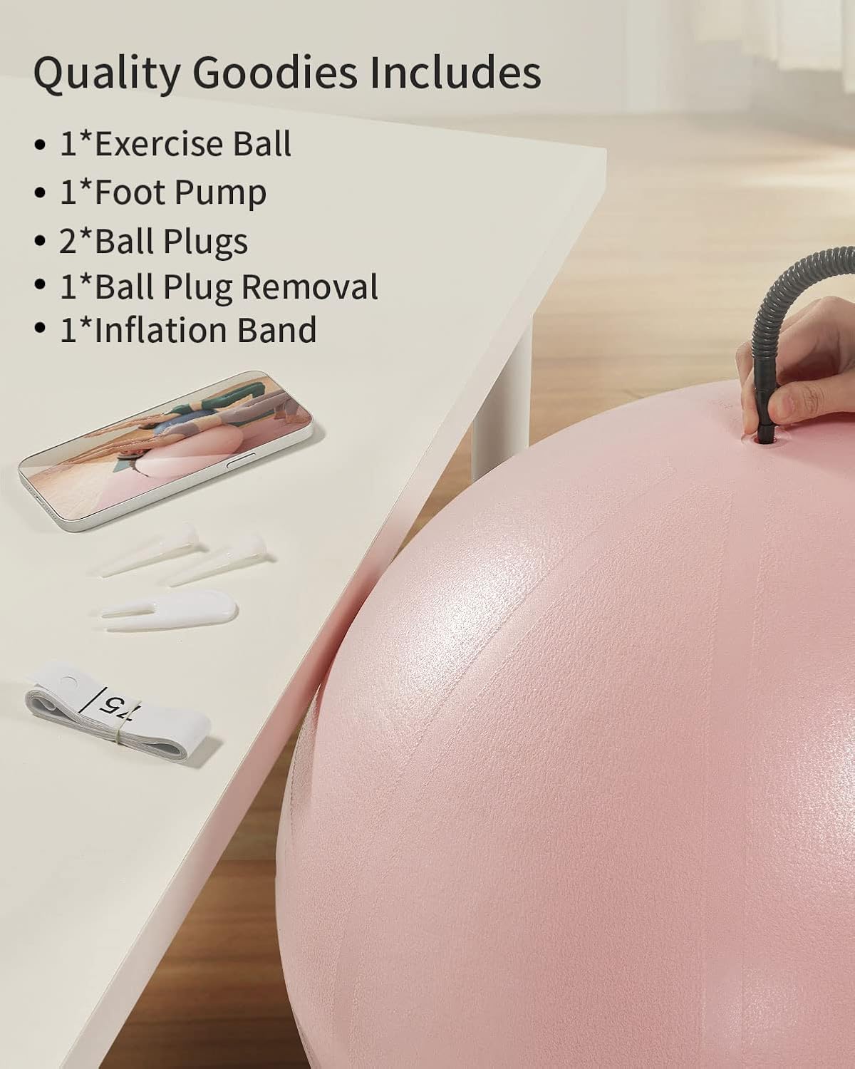 YOTTOY Anti-Burst Exercise Ball - Extra Thick Workout Ball for Yoga, Pregnancy & Physical Therapy