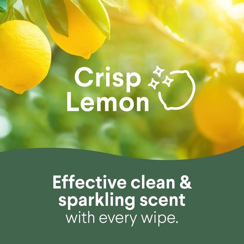 Clorox Disinfecting Cleaning Wipes - Variety Pack of 2 | 75 Count Each for Effective Germ Protection