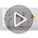 Clear Glass Flower Vase 8 Inch - Modern Boho Decorative Table Centerpiece