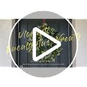 24-Inch Artificial Eucalyptus Wreath with Berries for Front Door Decor