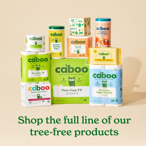 Caboo Disposable Bamboo Paper Plates, 125 Pack of 10 Inch Sturdy Biodegradable Plates, Compostable Plate, Microwave Safe Party Plate, Eco Friendly Alternative to Plastic
