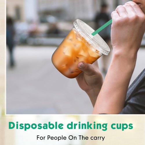 Baderke 50 Sets Clear Plastic Cups with Lids and Straws Disposable Plastic Iced Coffee Cups for Cold Beverage Juice Smoothie Coffee and Party Catering (12 oz)