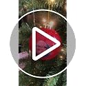 Danny DeVito Christmas Ornament - Funny Frank Reynolds Holiday Decor, 3.25 Inch Red with Gold Loop
