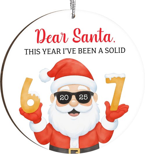 67 Meme Funny Christmas Ornaments - Hilarious Santa Tree Decor | Perfect Gag Gifts & Stocking Stuffers