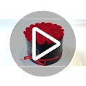 27 Preserved Roses in a Box - Long-Lasting Everlasting Flower Gift