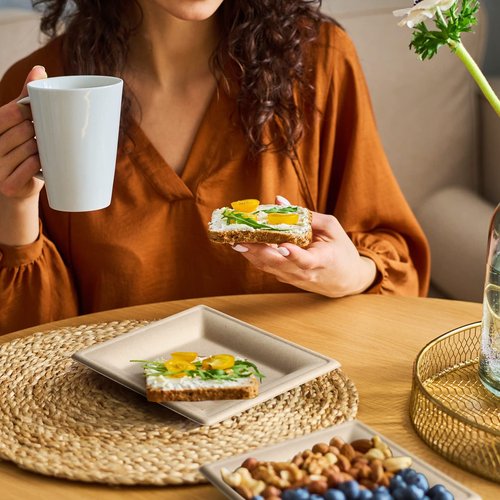 Gezond 100 Pack Compostable Square Plates 6 Inch Disposable Paper Plates Sugarcane Cake Plates for Party Unbleached Eco-friendly Salad Plates Biodegradable
