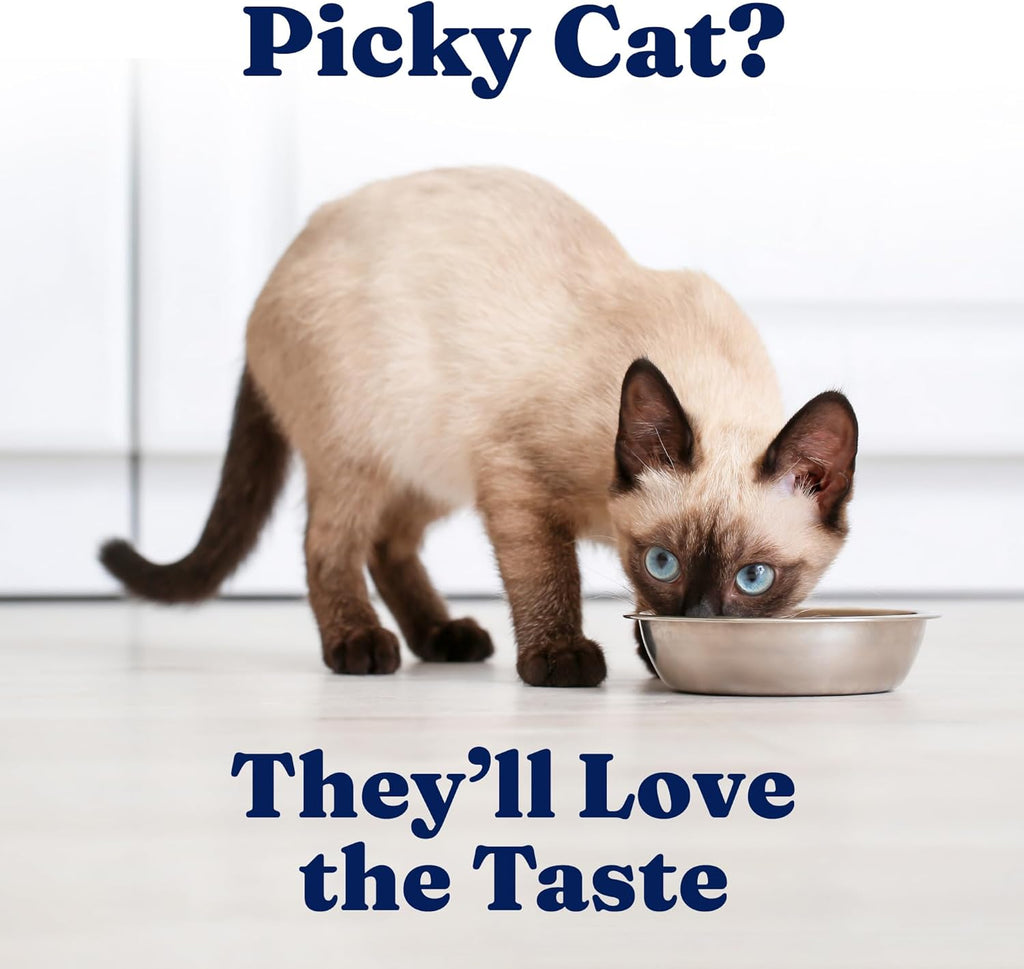 Solid Gold Wet Cat Food Pate - Healthy Grain-Free Canned Food with Real Chicken & Omega Fatty Acids | 24ct/3oz