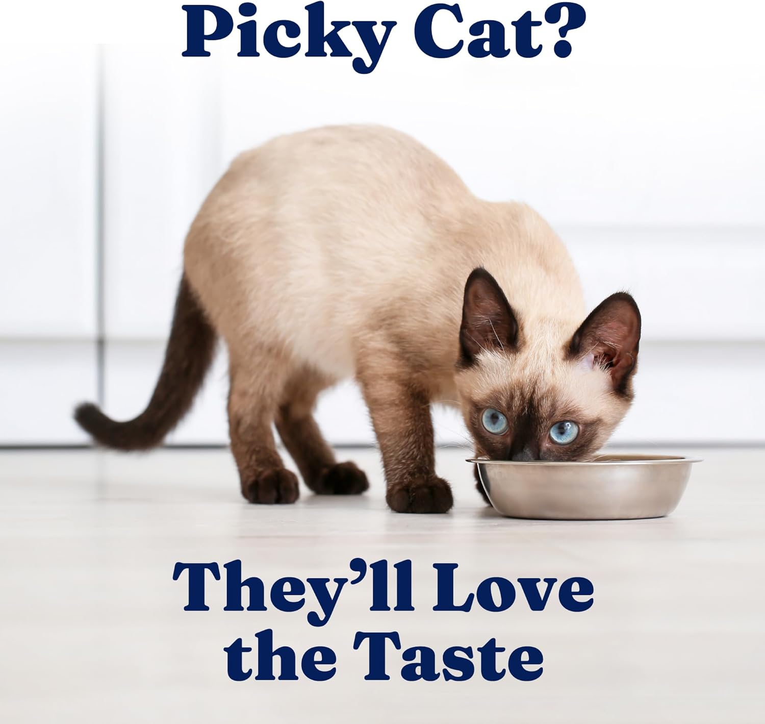Solid Gold Wet Cat Food Pate - Healthy Grain-Free Canned Food with Real Chicken & Omega Fatty Acids | 24ct/3oz