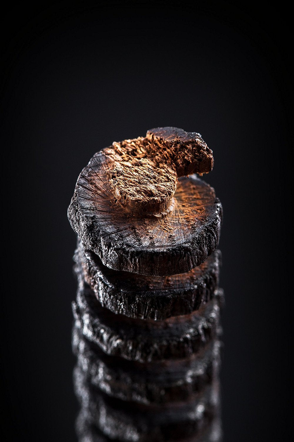 Oak Infusion Spiral 2.5" for Whiskey | Oak Spirals for Aging Whiskey, Wine & Beer (Pack of 4) | Barrel Aged in a Bottle Infusion Spiral for Wine Making & Craft Beer