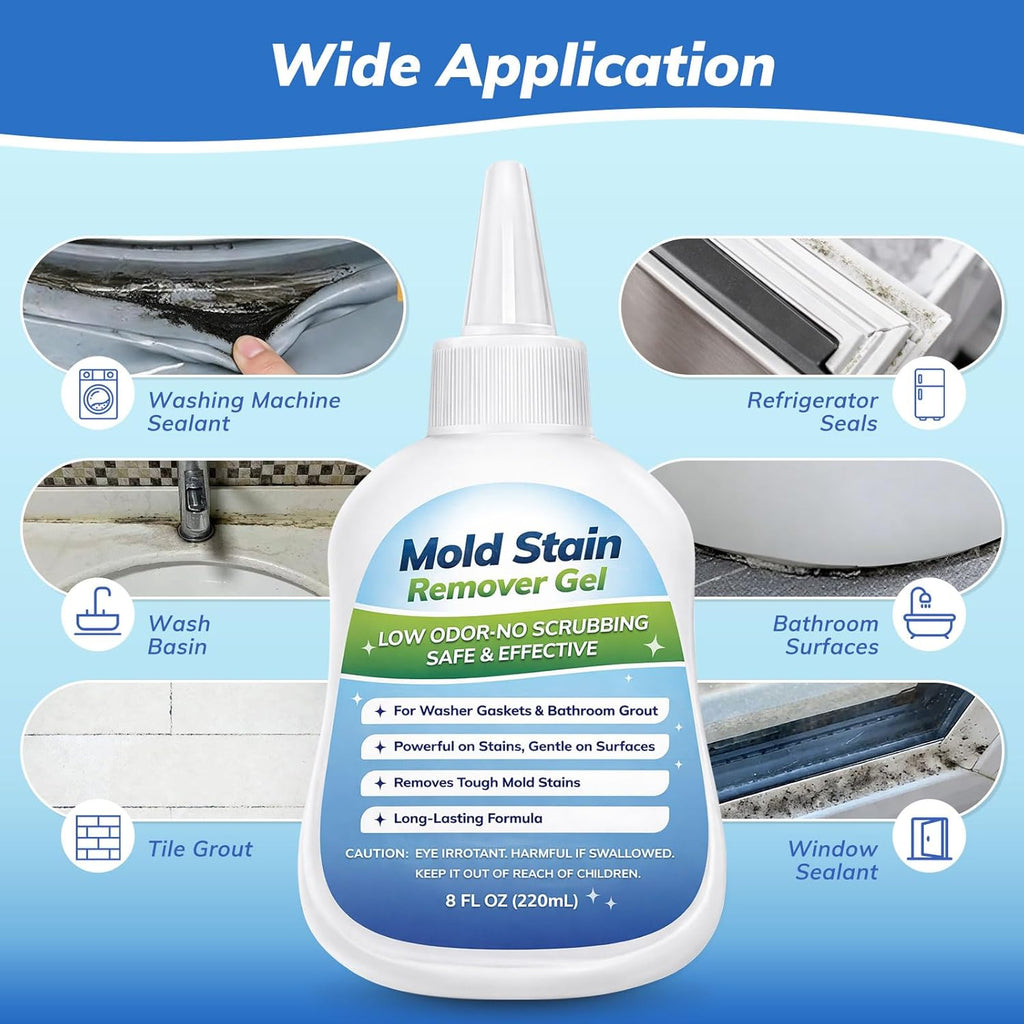 Regine Switzerland Mold-Stain Remover Gel - Low Odor Formula for Washing Machines & Bathrooms | Effective on Rubber Gaskets, Grout & Sealants