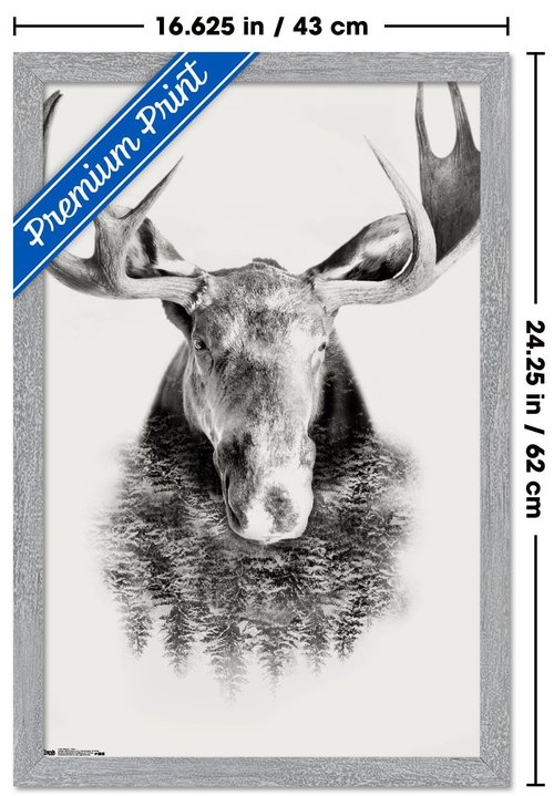 Trends International Moose - Trees Wall Poster, 22.4L x 14.7W, Gray Framed Version