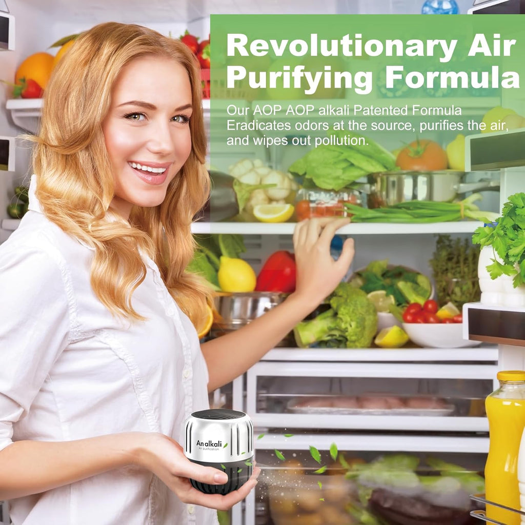 Skiennix Fridge Deodorizer - 4-Pack Odor Eliminator Lasts 10 Years | Ideal for Closets, Cars & Pets