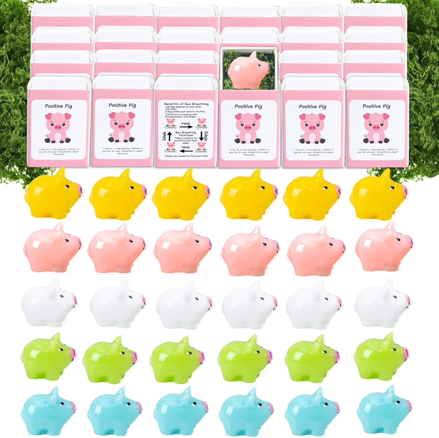 Skiennix Positive Pig Gifts - 50 Set Employee Appreciation Box with Cheer Up Cards for Coworkers & Teachers