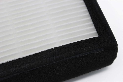 Fette Filter - FLT4825 True HEPA Filter B | Compatible with AC4825, AC4300BPTCA, AC4850PT, AC4900CA, CDAP4500BCA, Oransi Finn (3 HEPA & 12 Carbon)