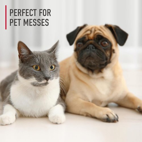 Hoover Pet Carpet Cleaner Solution - 128 Oz. Tropical Breeze Scent | Deep Cleaning Shampoo for Urine Stains & Odors
