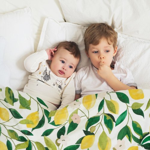 JarThenaAMCS Lemon Fuzzy Blanket - 60 x 50 Inch Yellow Lemon with Green Leaves Throw Blanket for Adults & Kids - Soft, Warm, Spring/Summer Blanket for Home, Chair, Sofa, Couch