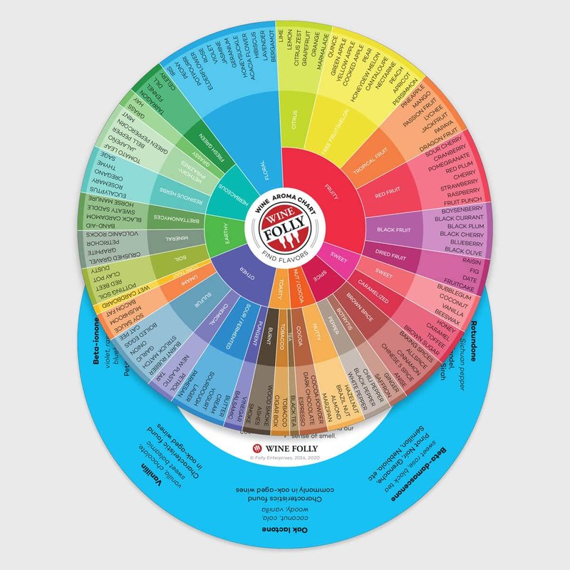 Wine Folly Wine Aroma Wheel Chart – 1-Pack Double-Sided Wine Tasting Guide | Durable Glossy Reference Tool for Red, White, Rosé & Sparkling | Sommelier Study Aid