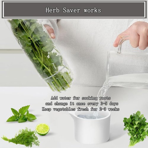 Rkssws Herb Saver for Refrigerator, Cilantro Container for Fridge, Fresh Herbs Lettuce Keeper for Refrigerator Parsley Mint Leaves Fresh Herb Keeper, Refrigerato Storage for Fresh for 2-3 Weeks