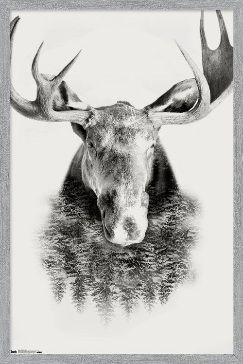 Trends International Moose - Trees Wall Poster, 22.4L x 14.7W, Gray Framed Version