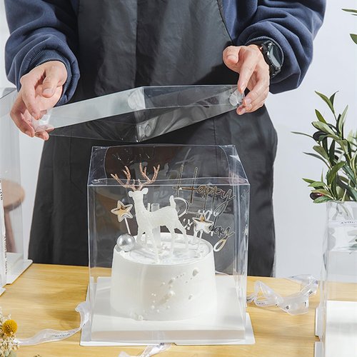 NROZIET 6 Pack Clear Cake Box, 2-Layer Transparent Cakes Box with Ribbon, 10" X 10" X 9" Tall Cake Carrier Boxes with Sturdy Board for Bakery Dessert Bread Pastry Birthday Parties, Wedding Graduation