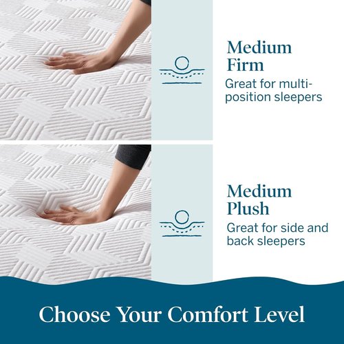 Lucid 14 Inch Memory Foam Mattress - Medium Plush Comfort - Bamboo Charcoal & Cooling Gel - Queen Size