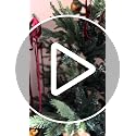 7.5 Foot Artificial Christmas Tree - Realistic Nordic Pine, 1218 Tips