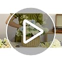 64 Pack Silk Hydrangea Artificial Flowers with Stems - Faux Ivory Floral Heads