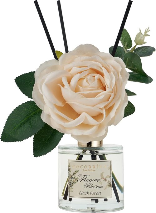 Cocorrina Reed Diffuser Set - Black Forest Scented Home Fragrance | 6.7 oz with Sticks for Large Rooms