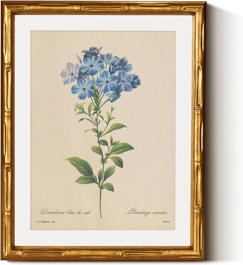 InSimSea Gold Bamboo Framed Canvas Wall Art - Vintage Blue Botanical Prints | Antique Picture Frame, 11x14 Inch