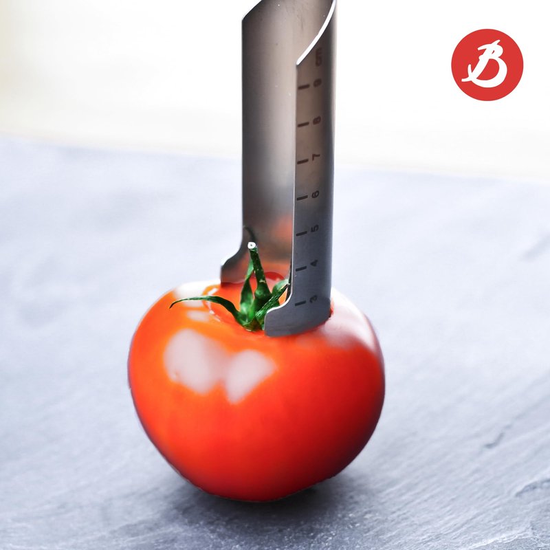 de Buyer UNIVERSAL CORE CONCEPT Manual Corer, Red - 1” - Serrated Stainless Steel Blade - Ergonomic, Non-Slip Handle - Easy to Use
