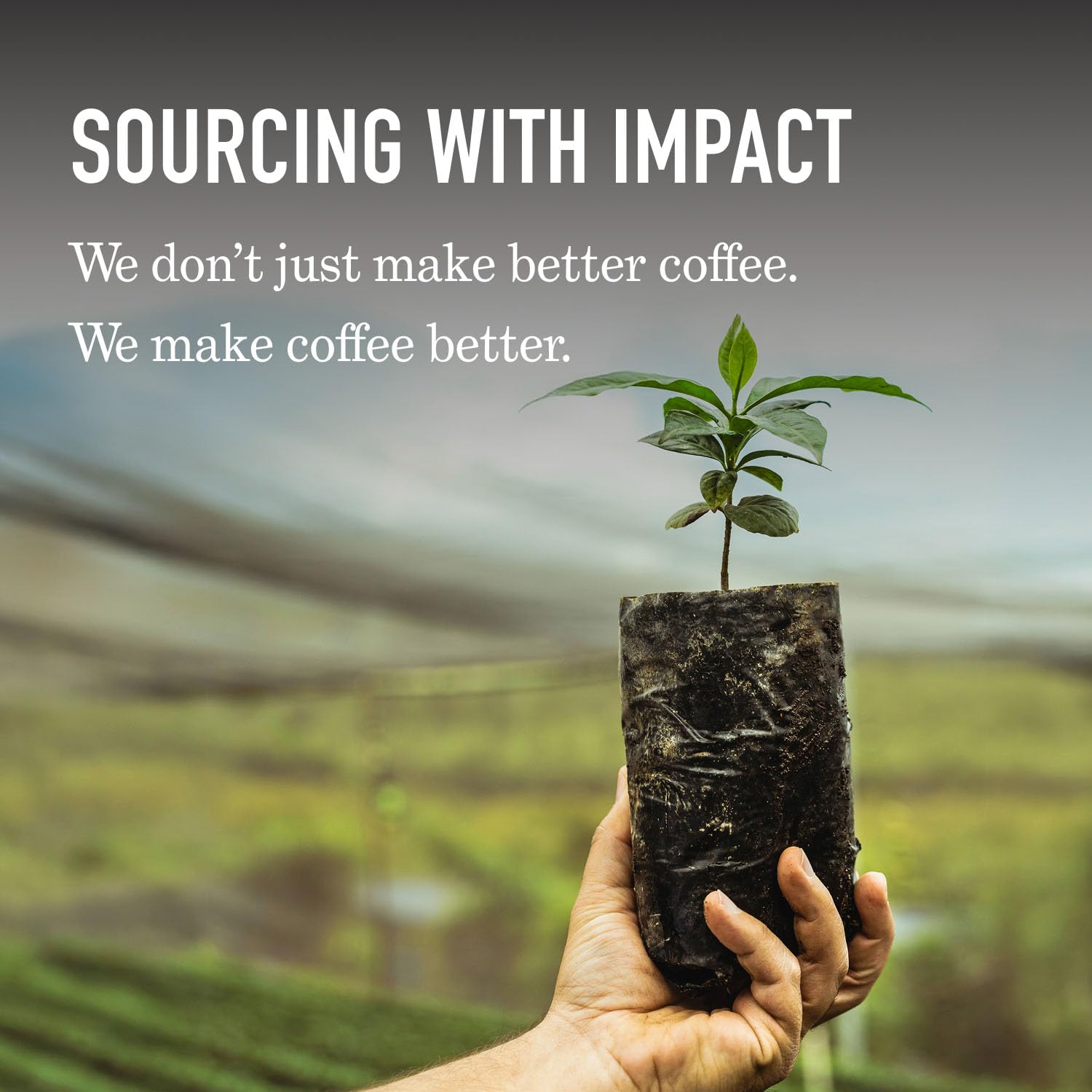 Peet's Coffee - Medium Roast Ground Coffee | 100% Arabica - Off the Grid Blend, 10.5 Ounce Bag