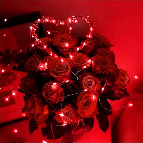 LAMPHOME 6 Pack Red Valentine's Fairy Lights - 20 LED Mini String Lights, Waterproof Silver Wire for DIY Decor