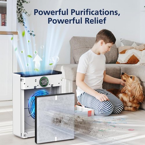 Mooka PR1 Replacement Filter - HEPA Activated Carbon for Large Rooms up to 2200 sq.ft | 4 Washable Filters for Pets & Allergens