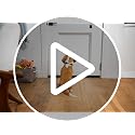 Under Door Draft Stopper - Adjustable 29-35 Inch Noise & Wind Blocker