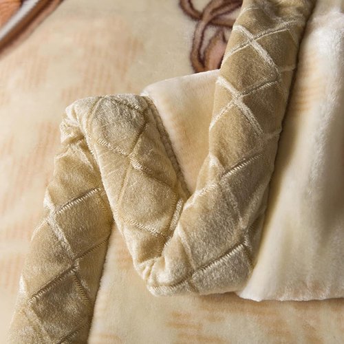 LGYKUMEG Korean Mink Blanket 59"×79", Silky Soft and Warm - 2 Ply Reversible Raschel Throw Blanket 4.4 Lb,Beige and Brown,（150x200cm-2kg